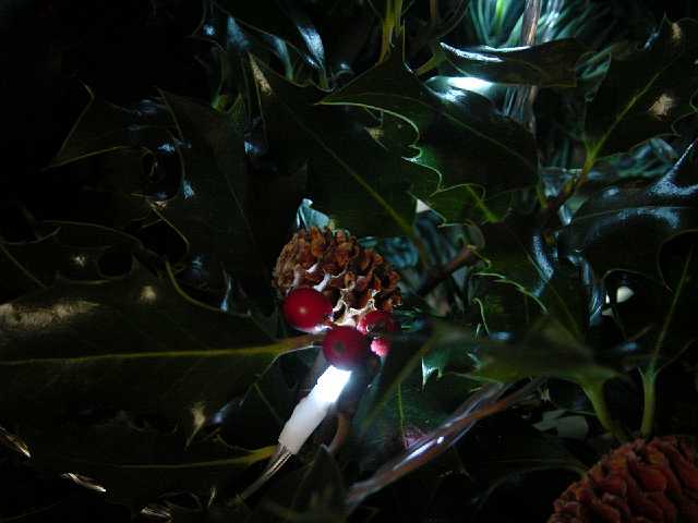 Picture 006.jpg